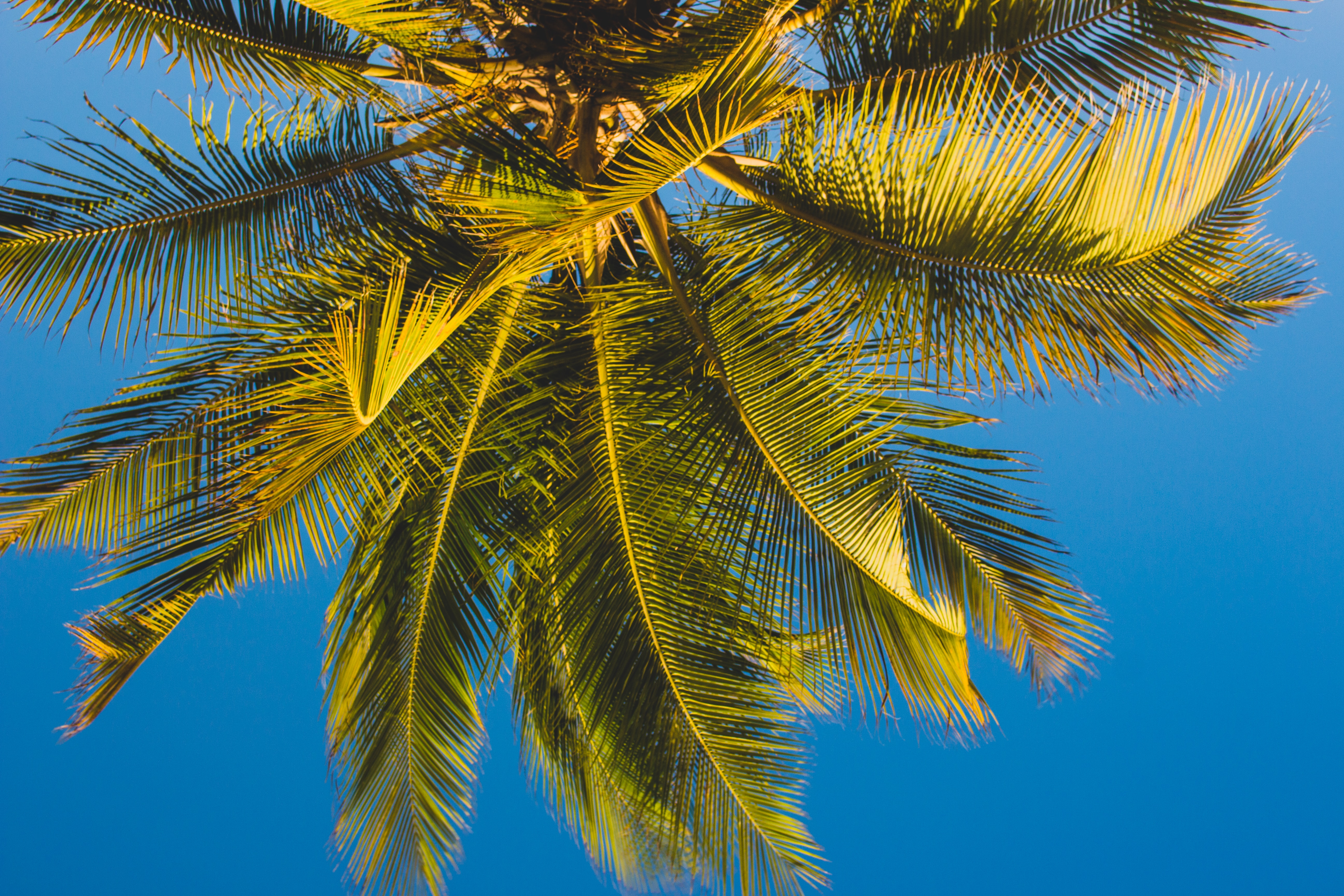 Tijd Curaçao 